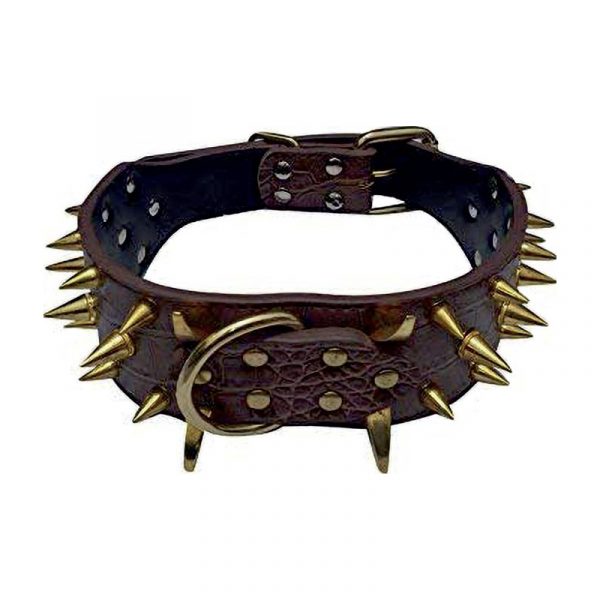 Dog Collars