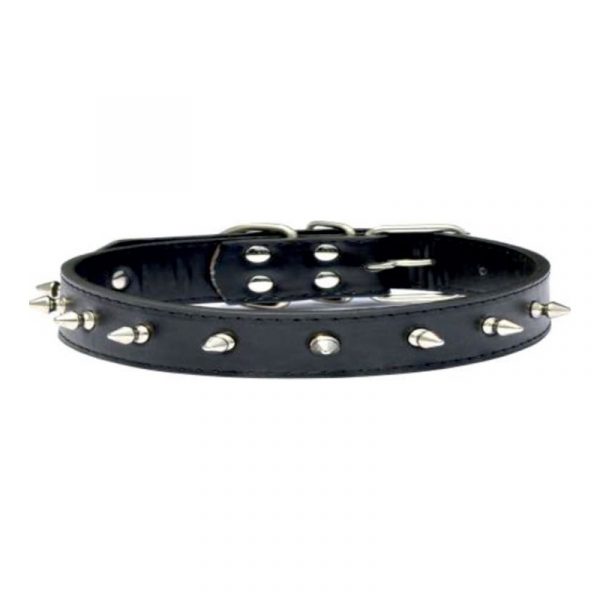 Dog Collars