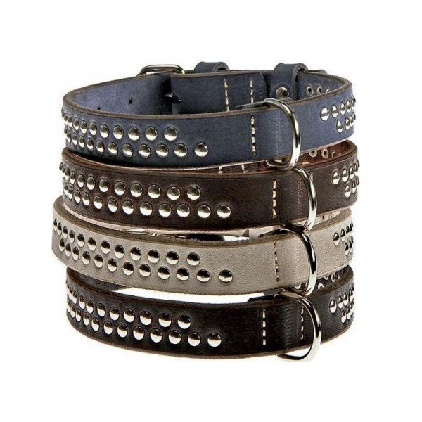 Dog Collars